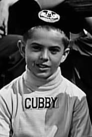 Cubby O'Brien as Jerry Stephen