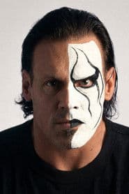 Steve Borden as Sting