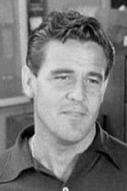 Robert Keys as Detective Sgt. Hollander