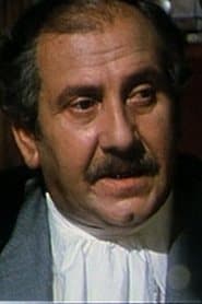 Dario Ghirardi as Journalist