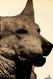 Lightning the German Shepherd as Lightning - Ken's Dog (uncredited)