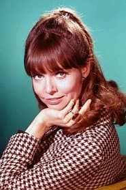 Barbara Feldon as Agent 99