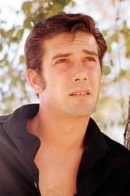 Robert Fuller as Vin