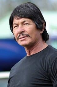 Robert Bronzi as The Stranger