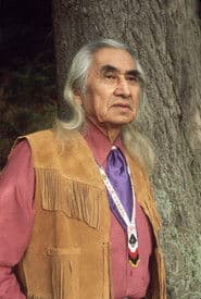 Chief Dan George as Lone Watie