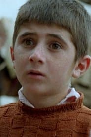 Babek Ahmadpour as Ahmed Ahmadpour