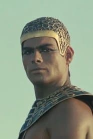 Ahmad Anan as Grand Steward