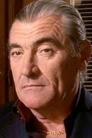 Renzo Stacchi as Nando