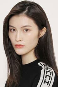 He Sui as Shi Feilong