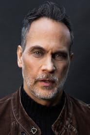 Todd Stashwick as The Cowardly Lion (voice)