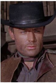 Terry Jenkins as Joe Mooney