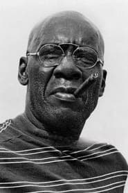 Julius Harris as Capt. Bollin