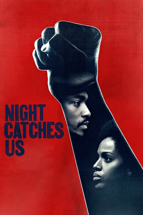 Night Catches Us movie poster