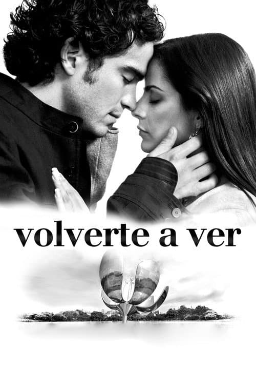 Volverte a ver movie poster