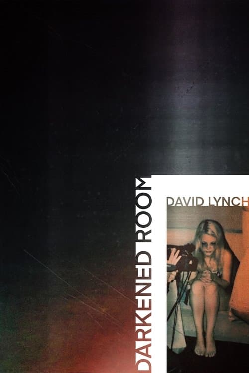 Darkened Room movie poster