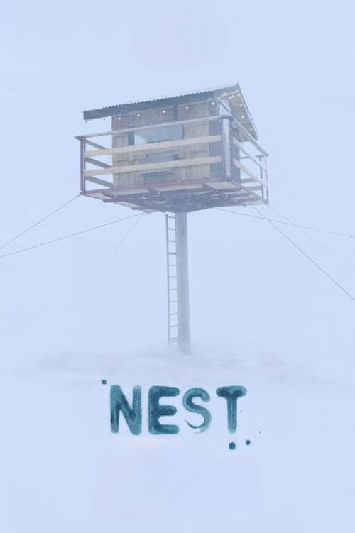 Nest movie poster