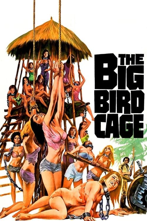The Big Bird Cage movie poster