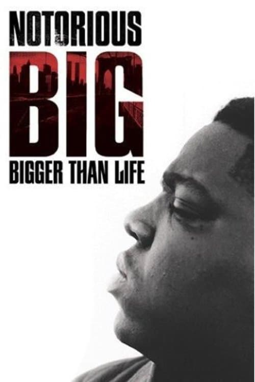 Notorious B.I.G.: Bigger Than Life movie poster