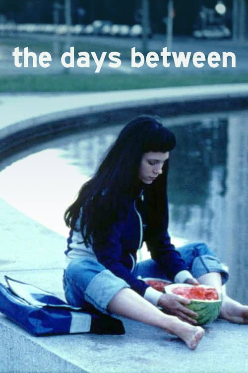 The Days Between movie poster