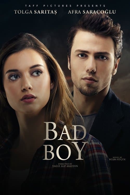 Bad Boy movie poster