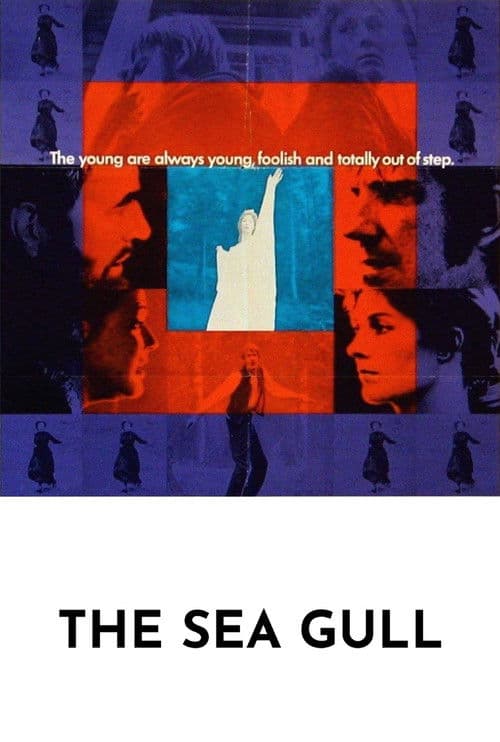 The Sea Gull movie poster