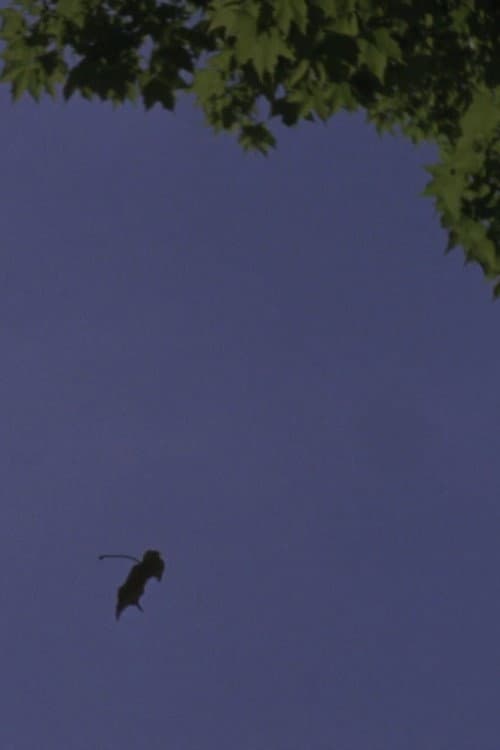 A Leaf Is the Sea Is a Theater movie poster