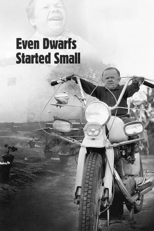 Even Dwarfs Started Small movie poster