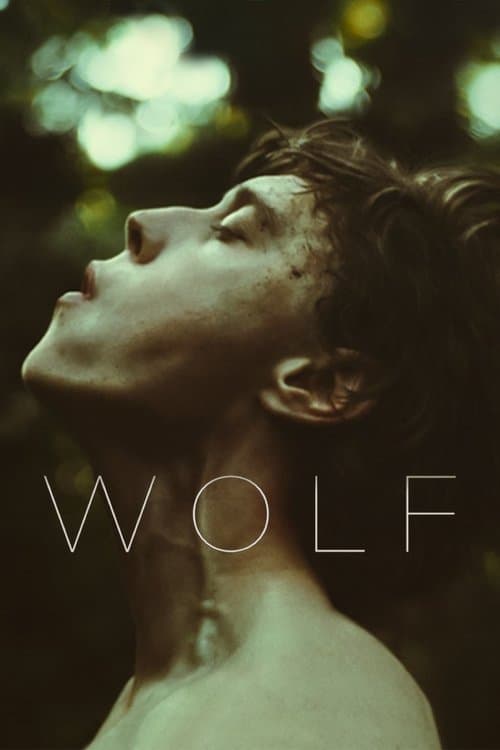 Wolf movie poster