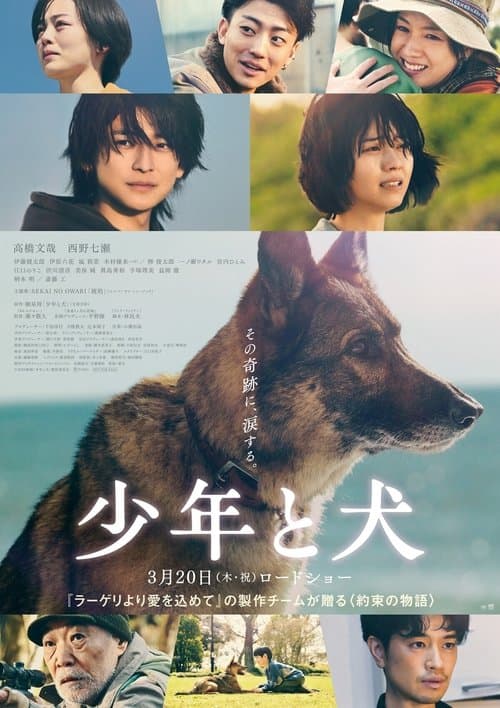 The Boy and the Dog movie poster