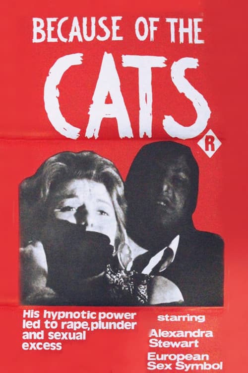 Because of the Cats movie poster