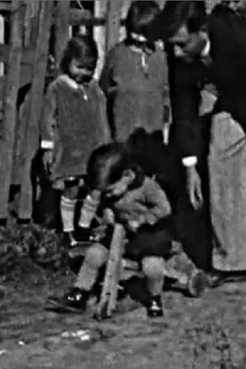 Riding a Tricycle movie poster