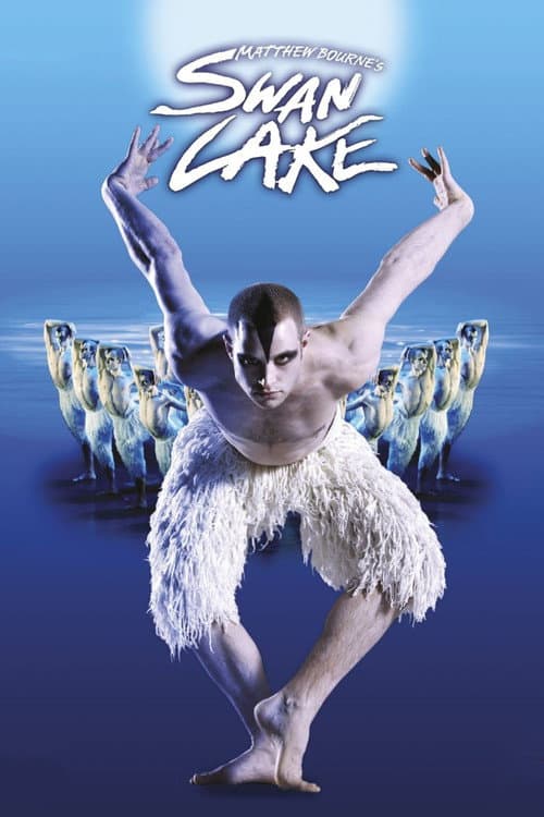 Swan Lake movie poster