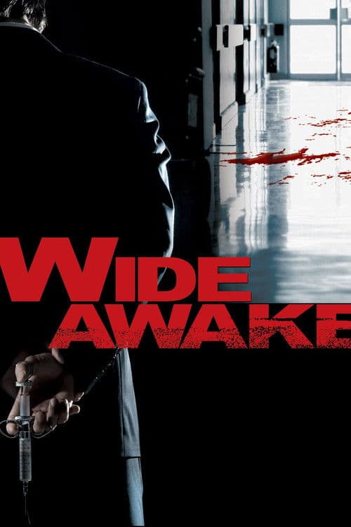 Wide Awake movie poster