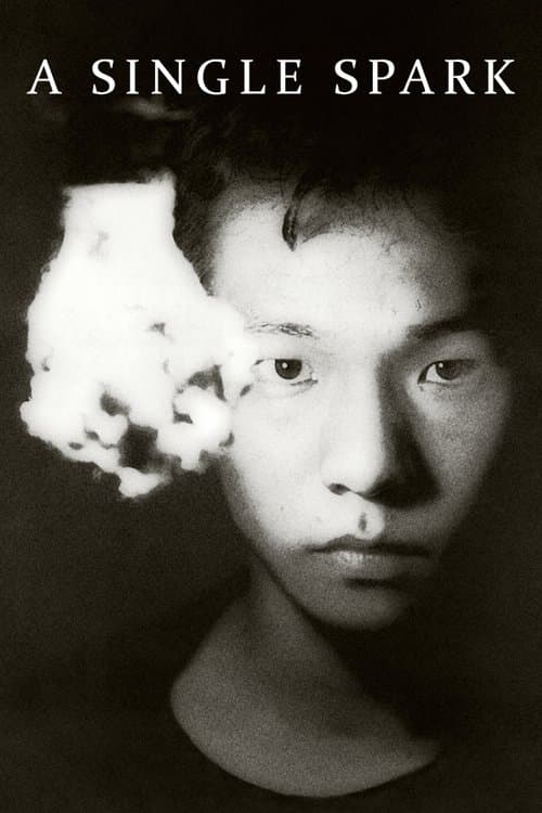 A Single Spark movie poster