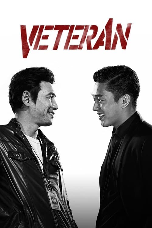 Veteran movie poster