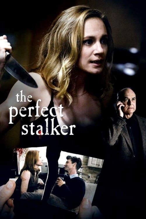 The Perfect Stalker movie poster
