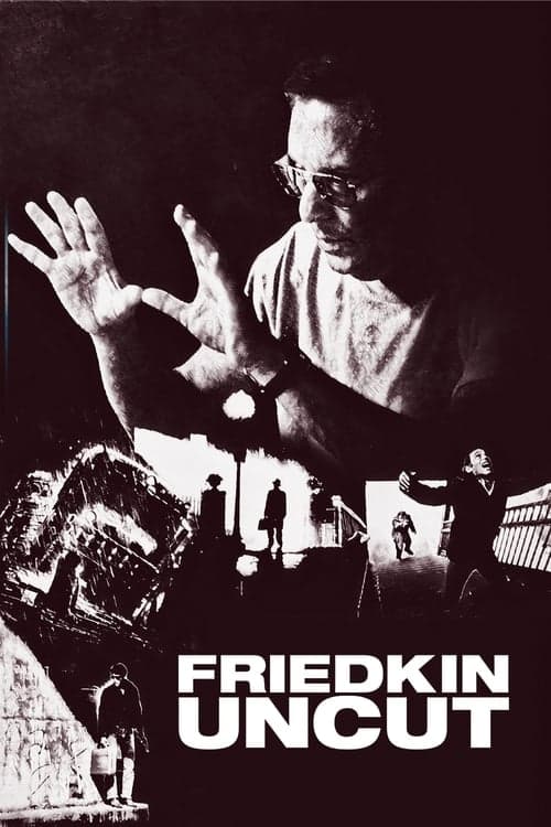 Friedkin Uncut movie poster