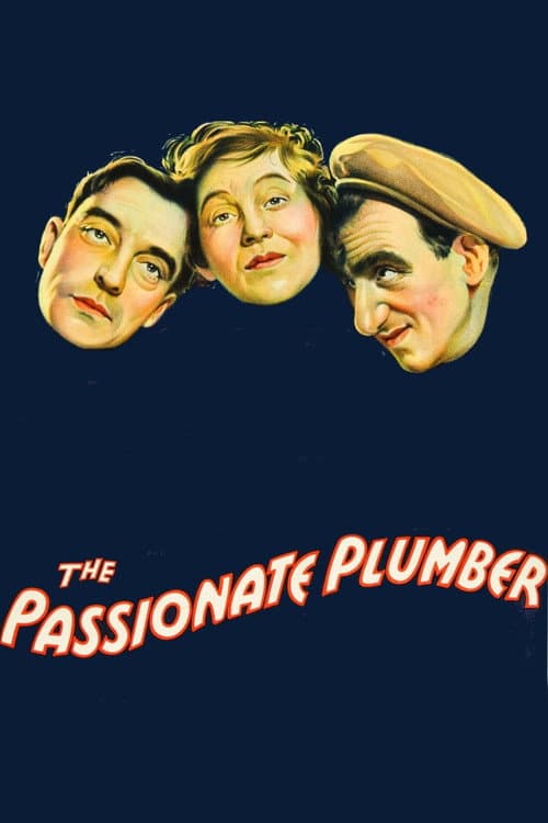 The Passionate Plumber movie poster