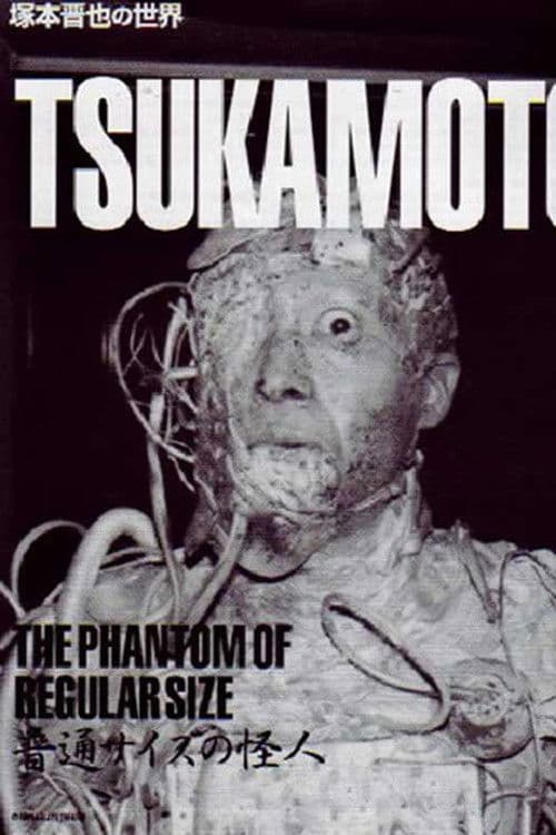 The Phantom of Regular Size movie poster