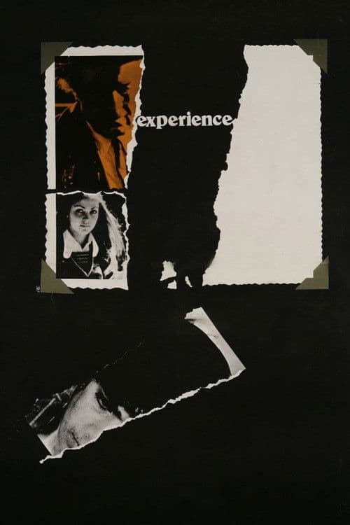 The Experience movie poster
