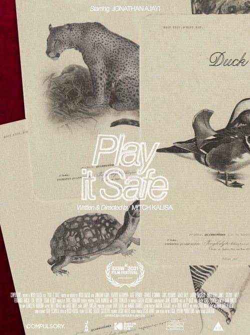 Play It Safe movie poster