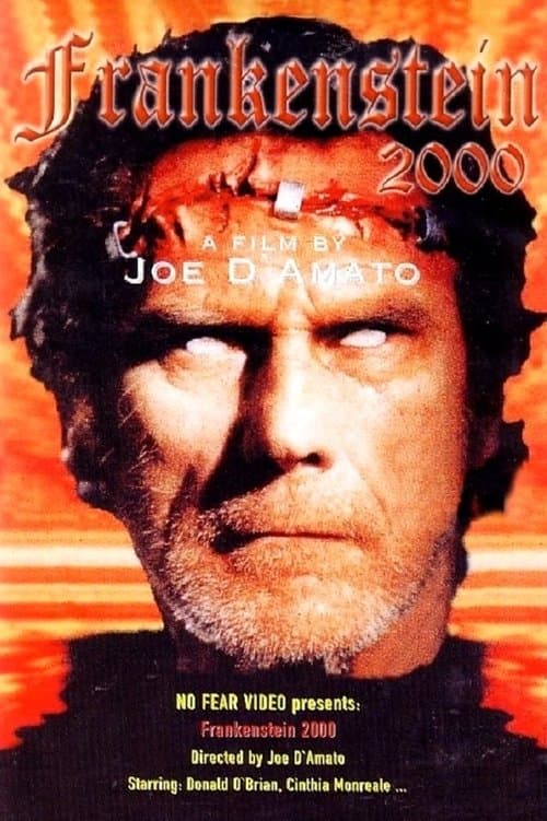 Return from Death: Frankenstein 2000 movie poster