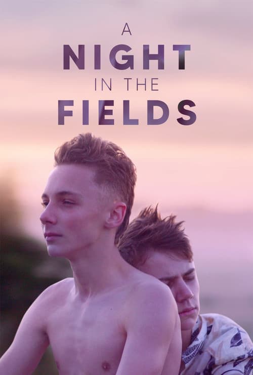 A Night in the Fields movie poster