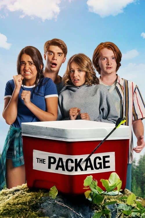 The Package movie poster