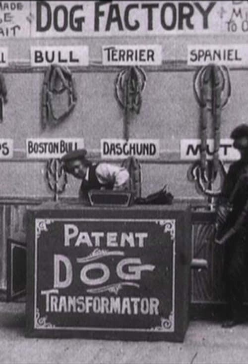 Dog Factory movie poster