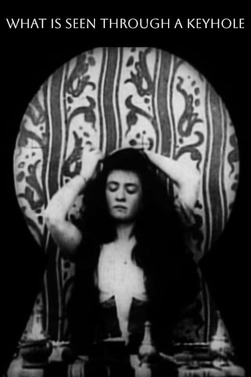 What Happened to the Inquisitive Janitor movie poster