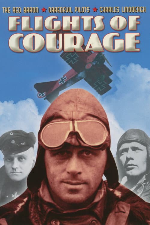 Flights of Courage movie poster