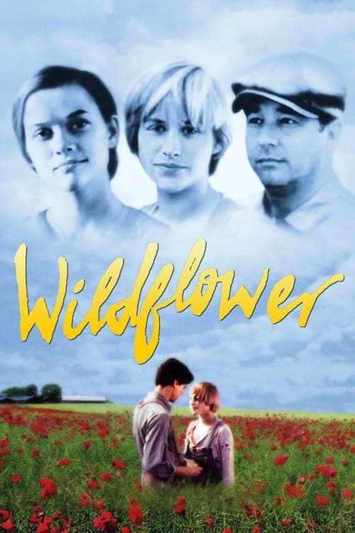 Wildflower movie poster