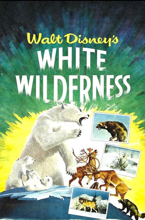 White Wilderness movie poster