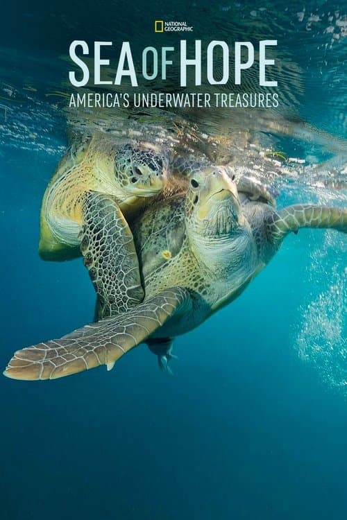 Sea of Hope: America's Underwater Treasures movie poster